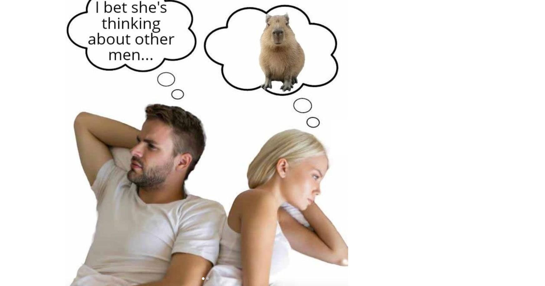 Capybara meme of two people 