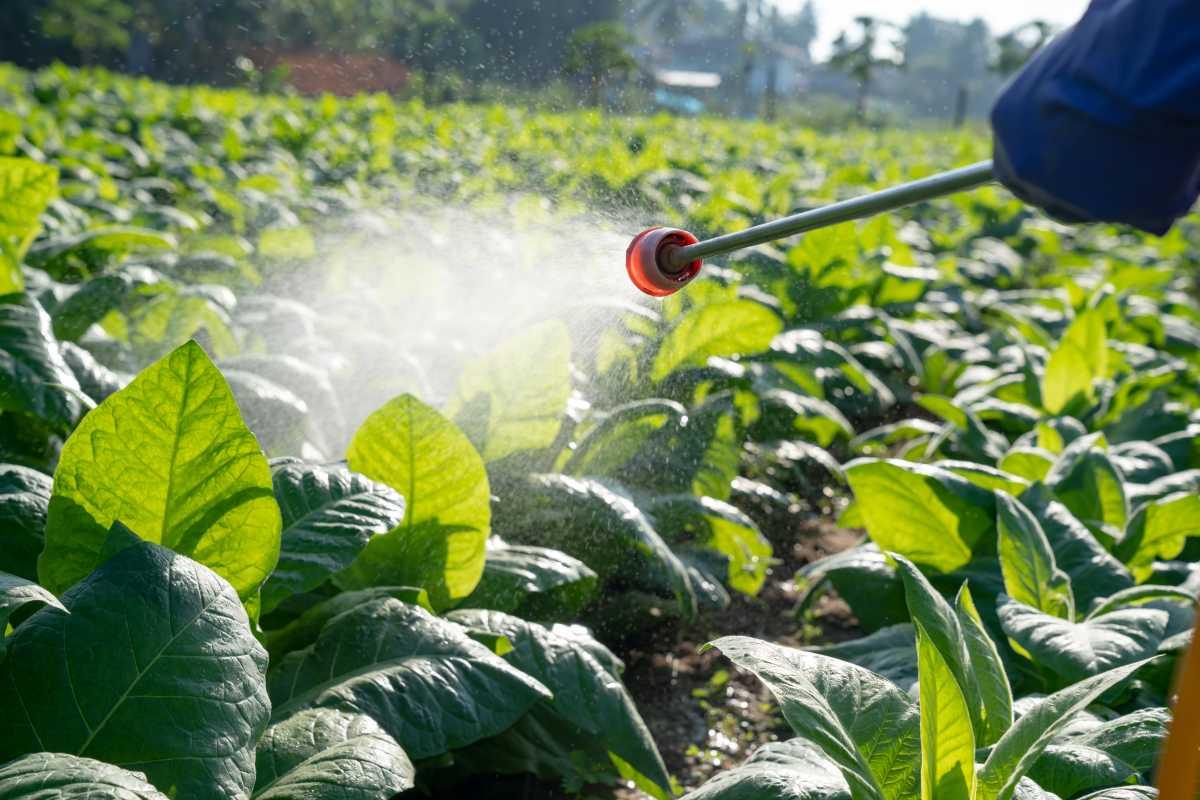 pn/defeab e fdd bdf cdbaa