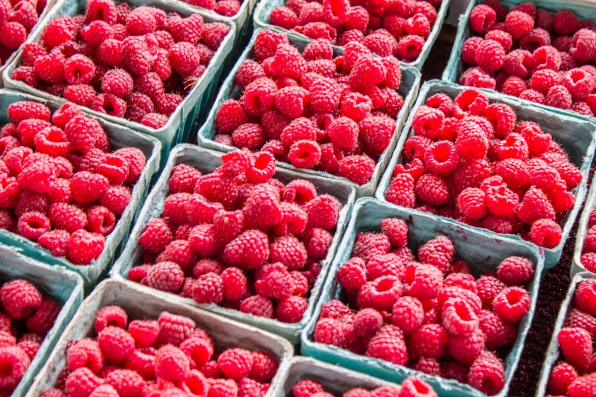 Pint containers of raspberries.