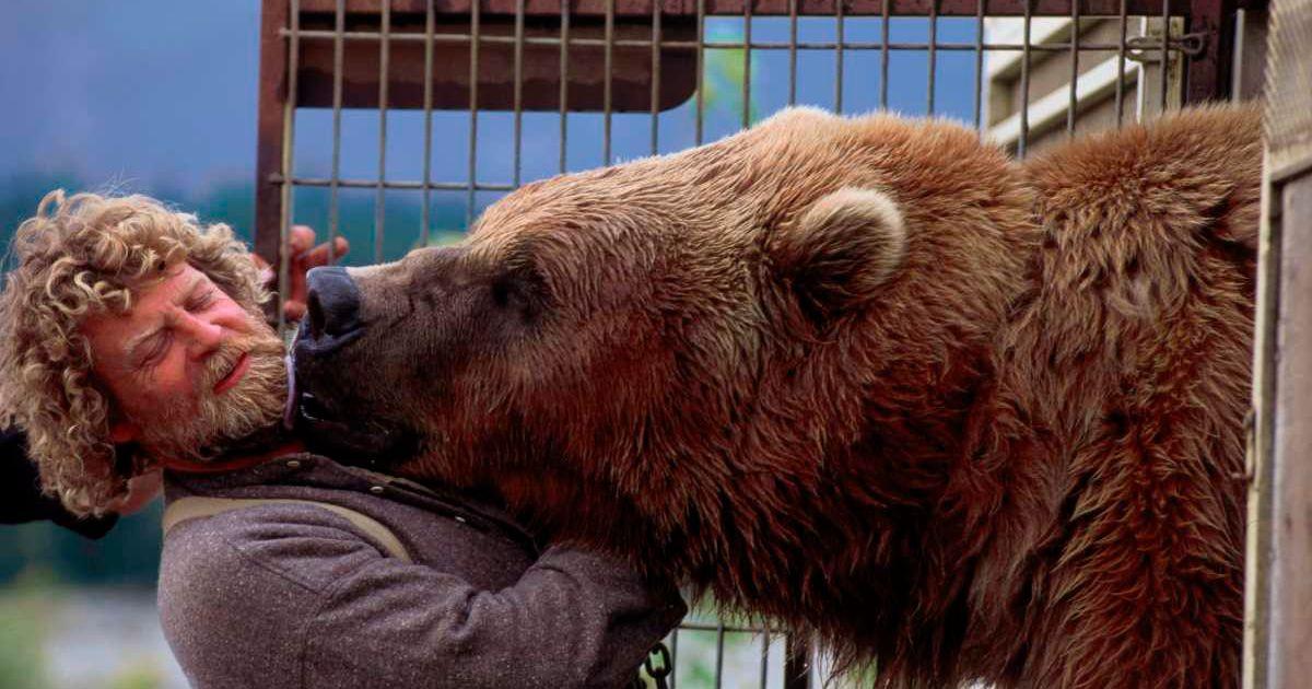 A brown bear kisses his trainer (Representative Cover Image Source: Getty Images | Galen Rowell)