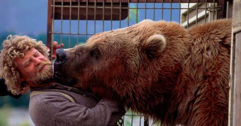 A brown bear kisses his trainer (Representative Cover Image Source: Getty Images | Galen Rowell)