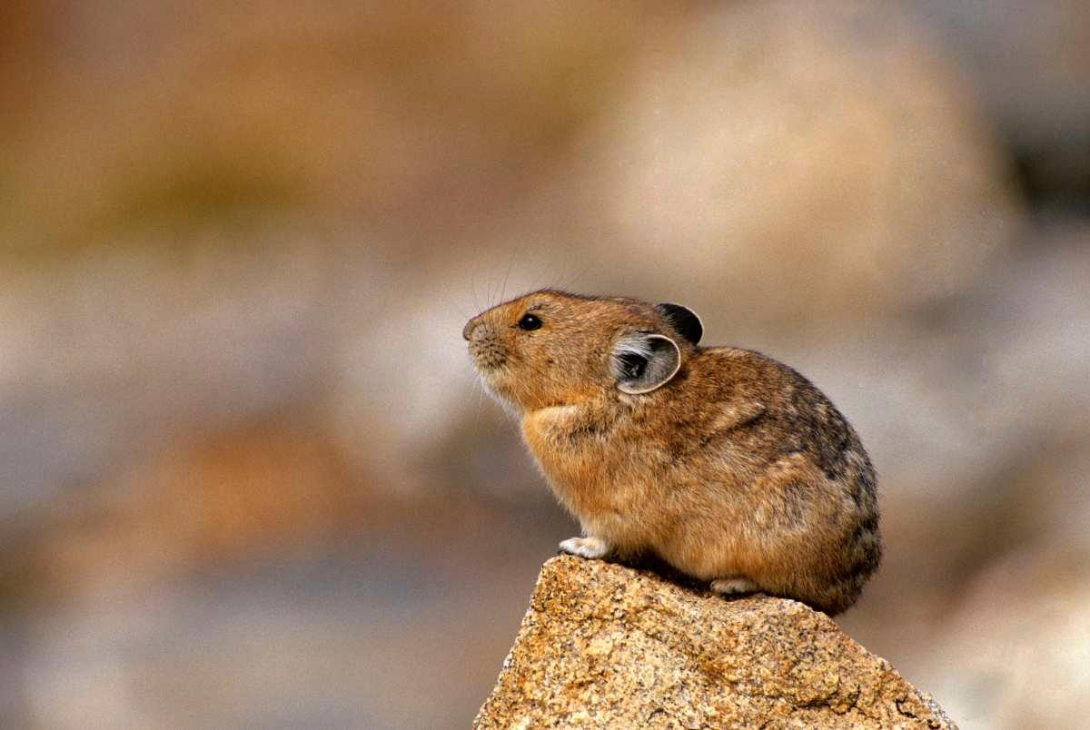 pn/bbbfb  f bbfa aafbbdd