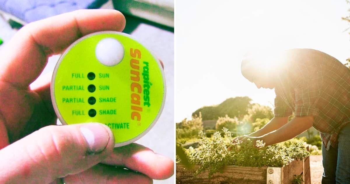 (L) Luster Leaf Suncalc sunlight calculator (Cover Image Source: Amazon) | (R) Man placing a plant in a sunlit spot in his outdoor garden. (Representative Cover Image Source: Getty Images | Jeff Bargen)