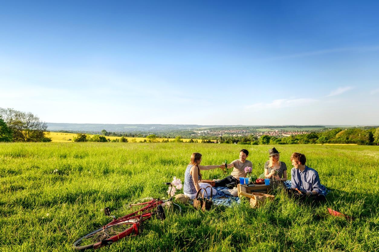 Four friends having a picnic in an open field during a sunset