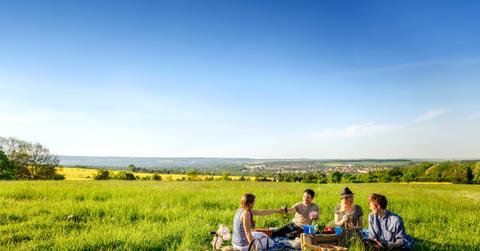 Four friends having a picnic in an open field during a sunset