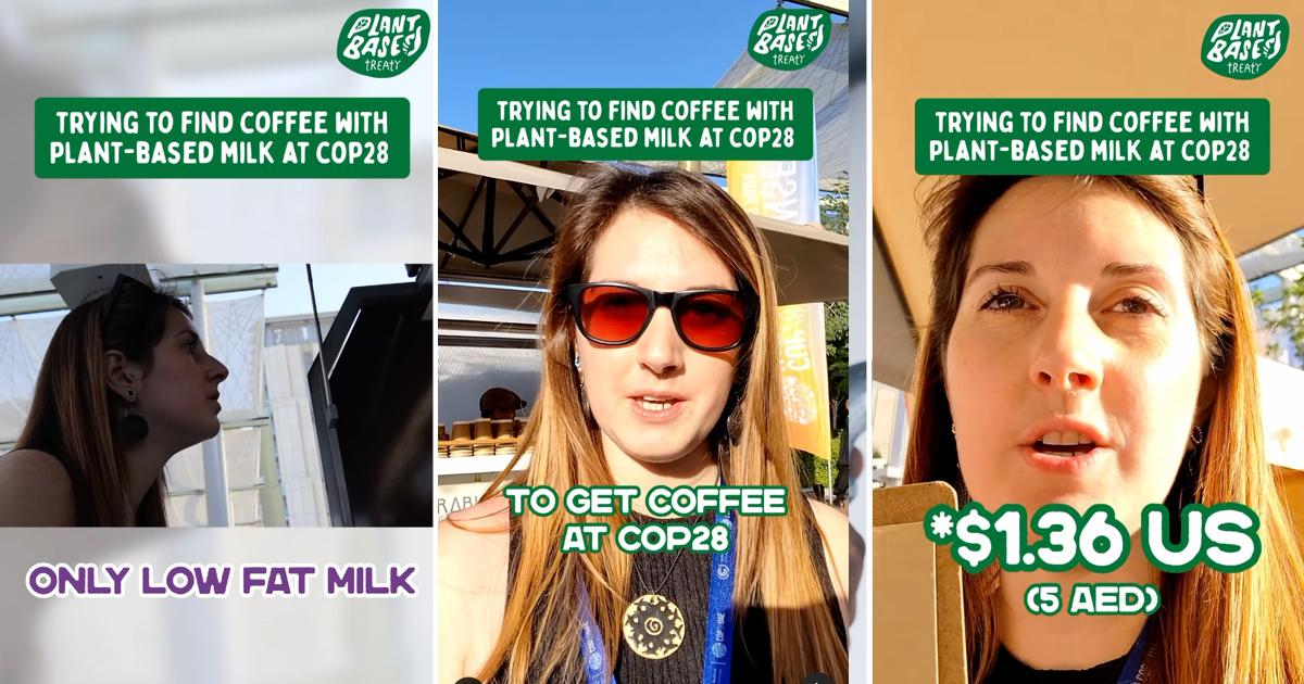 Three screenshots from an Instagram video of a woman trying to get plant-based milk at COP28