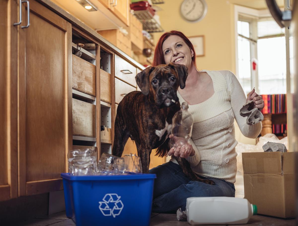 paws on plastic