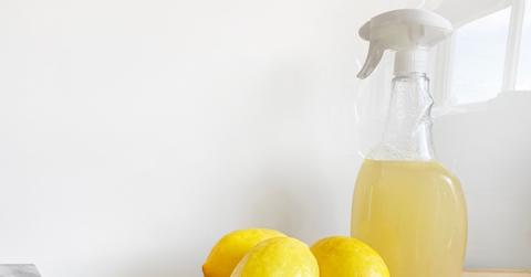 Can white vinegar be used as a disinfectant?