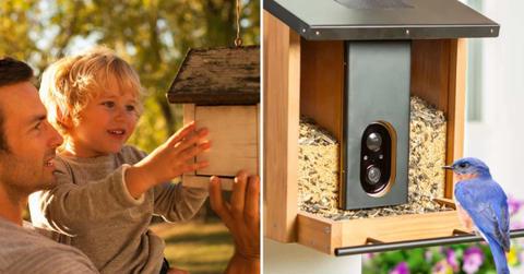 (L) Father and son examining birdhouse (Representative Cover Image Source: Getty Images | Sam Edwards) | (R) Blue-colored bird perched on Costco's solar-smart bird feeder (Cover Image Source: Costco)