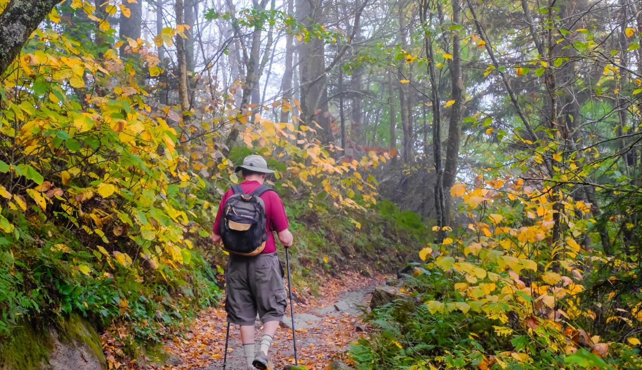 A view from behind of a person hiking up a colorful leaf-covered trail during the fall.