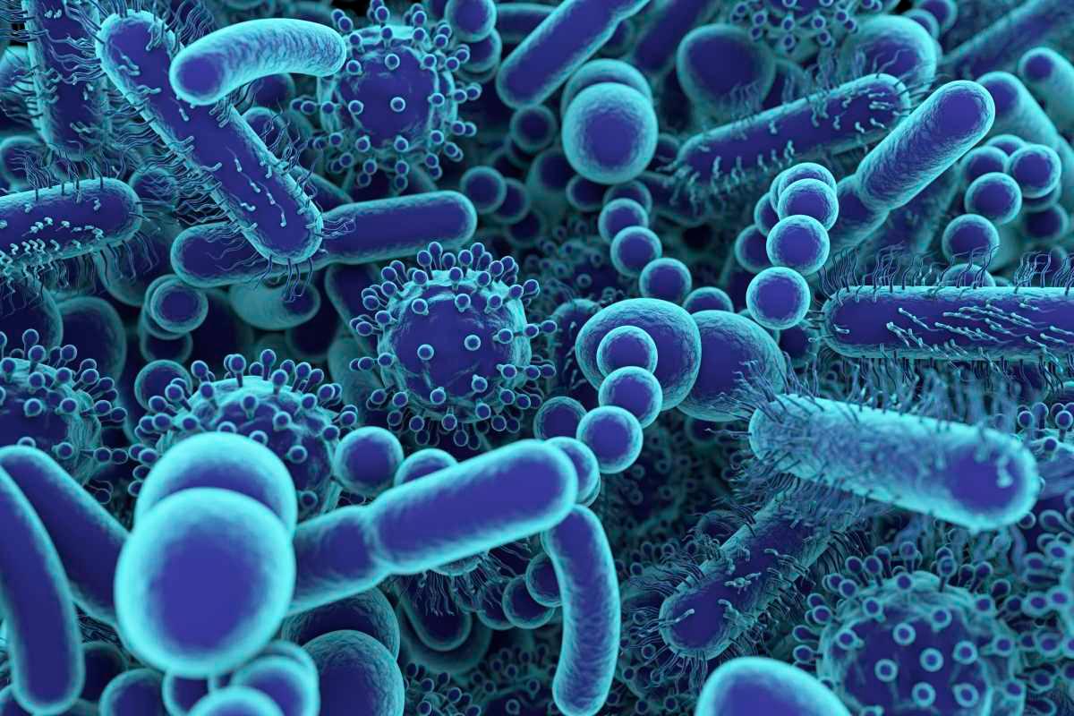 pn/eafdf a b adf bbabd