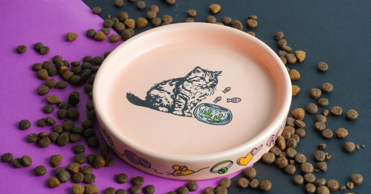 A cat dish featuring the image of a cash and a fishbowl sits next to spilled cat food