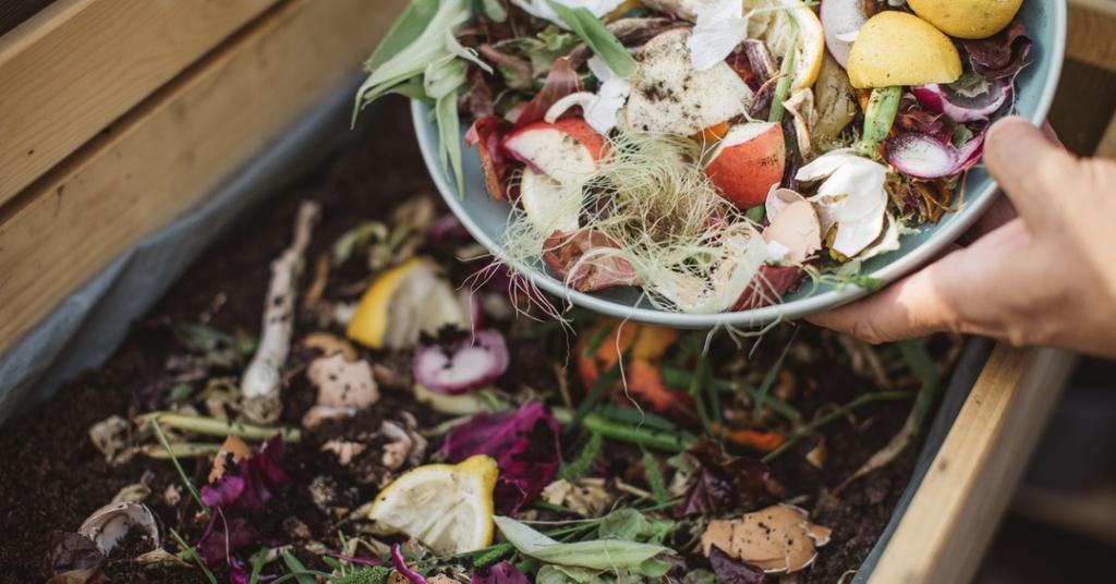 How to Use Compost as Fertilizer