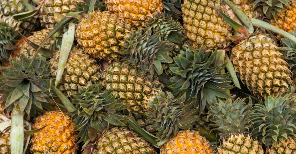 Is Rotten Pineapple Poisonous? - Green Matters