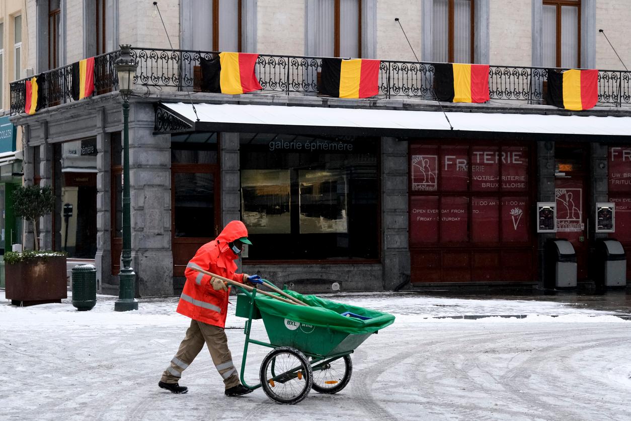 Alternatives to Driveway Salt That Are More EcoFriendly