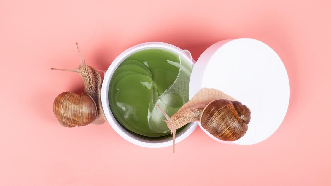 Two snails on either side of a circular cosmetic container with clear eye patches inside in front of a pink background. 