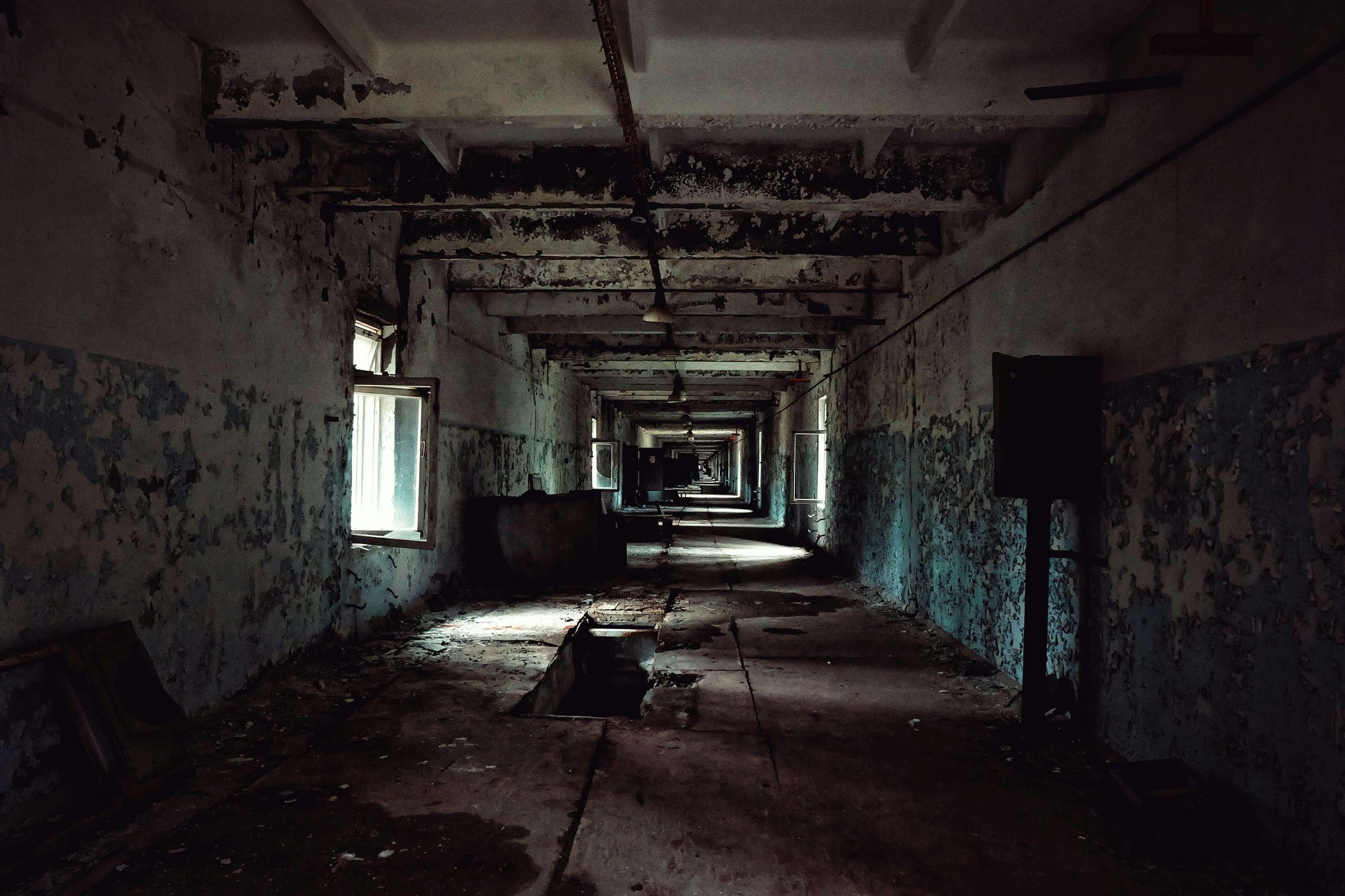 An abandoned building is pictured at Chernobyl's Exclusion Zone.