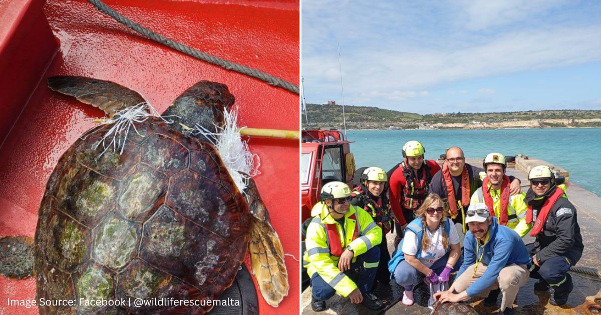 pn/bacefa db   bcade