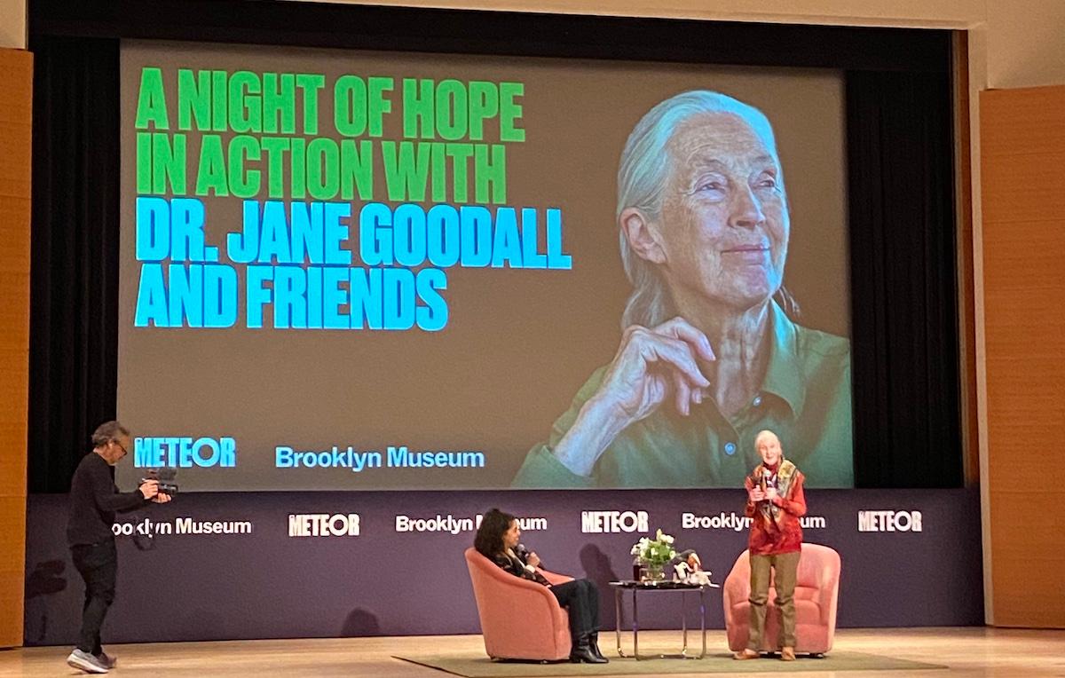 Jane Goodall at the Brooklyn Museum