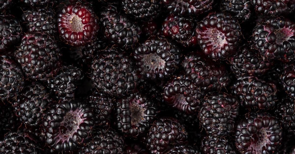 Close-up photograph on a bin of blackberries. 