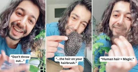 Life hack expert shares the magical power of human hair in saving dying plants. (Cover Image Source: TikTok | @creative_explained)