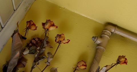 how-to-dry-flowers3-1608752228603.jpg