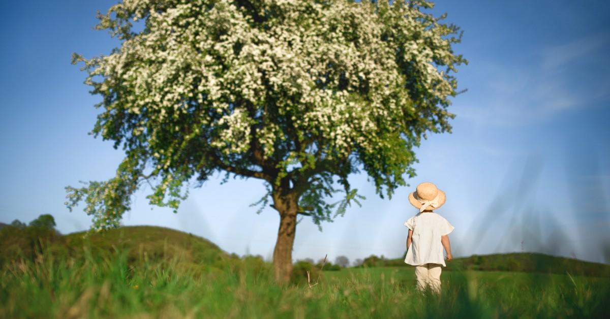 Child walking towards a tree