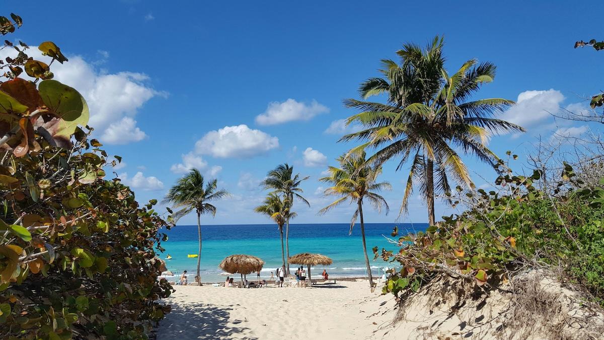 Seychelles Mosquito Virus Outbreak Prompts Travel Warning