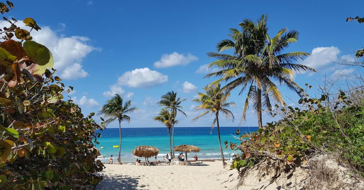 Chikungunya Virus Prompts Travel Warnings for Popular Travel Destination