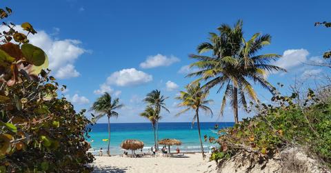 Seychelles Mosquito Virus Outbreak Prompts Travel Warning