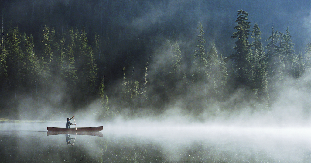 why-does-fog-form-what-to-know-about-the-natural-phenomenon