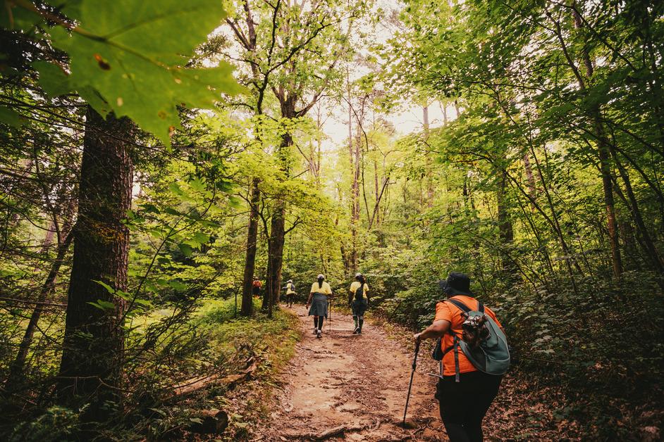 Six hikers walk along a forested trail during the daytime. 