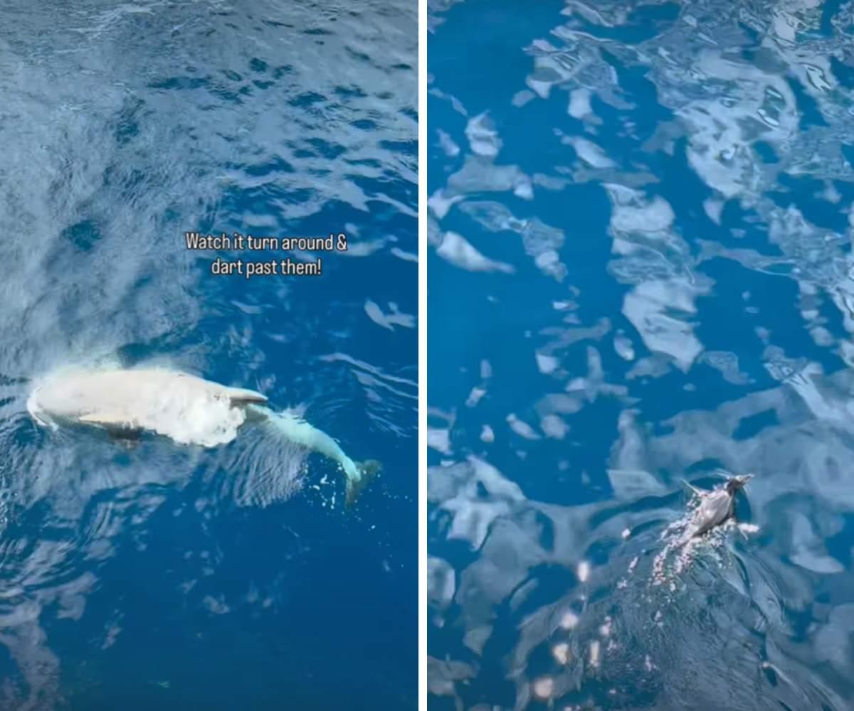 pn/cc ac cf ad ebfeedfb