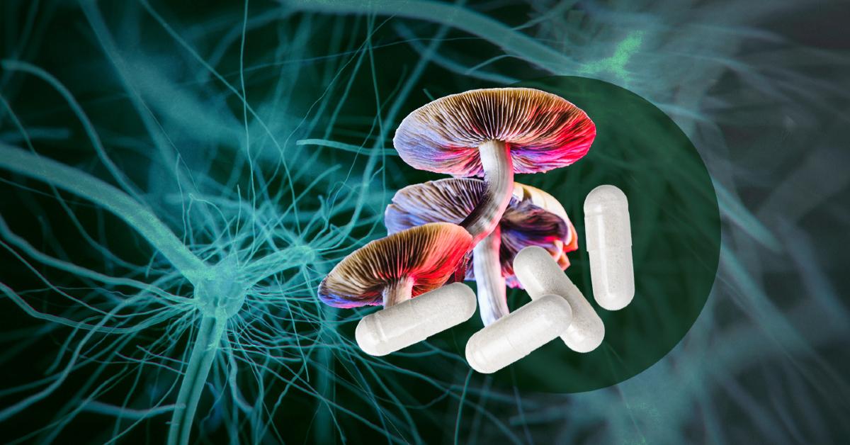 A collaged image of mushrooms and white pill capsules over a blue-green background