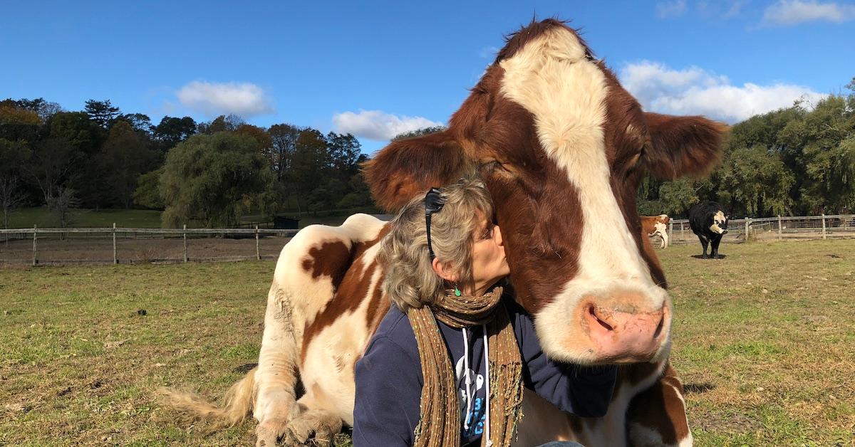 Catskill Animal Sanctuary