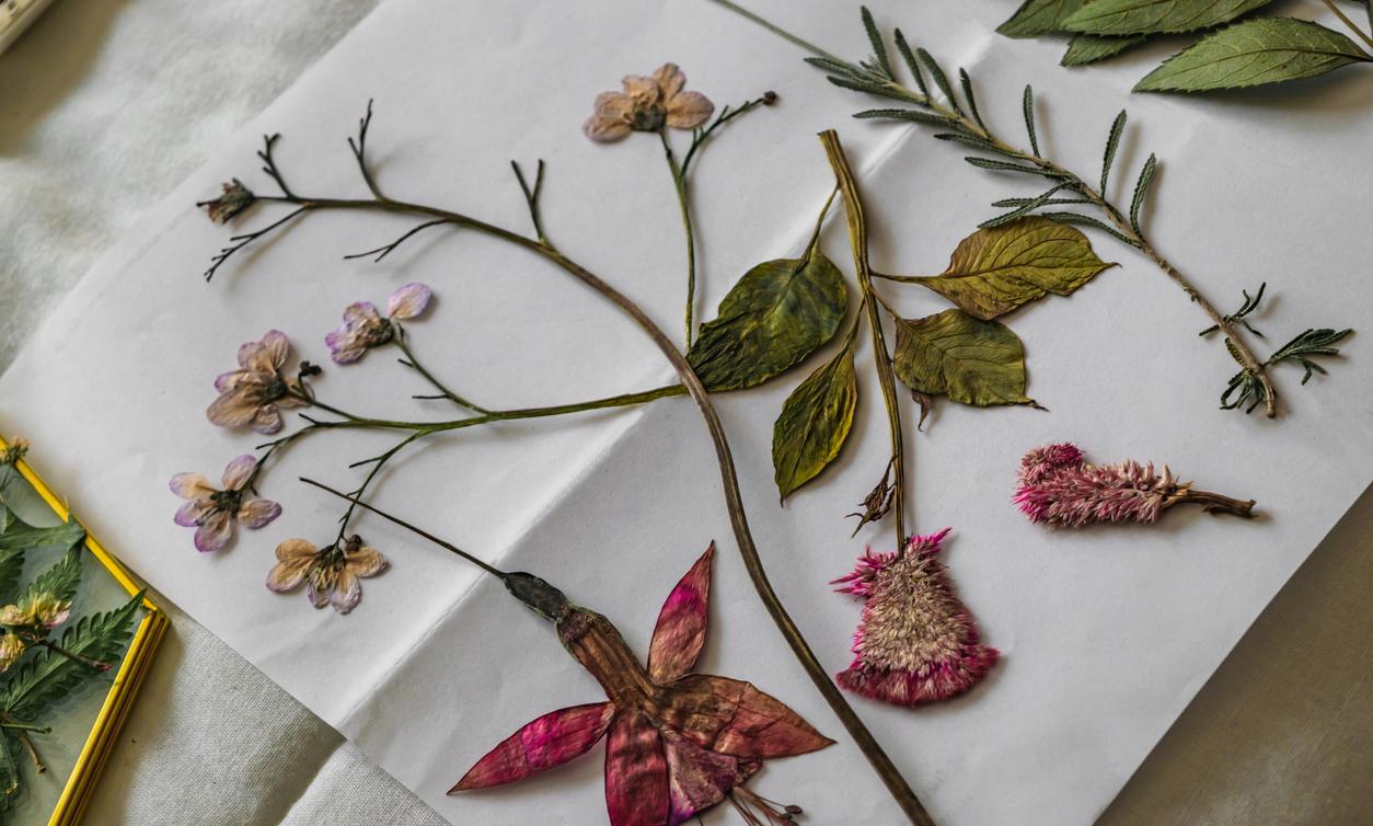 A Step-by-Step Guide to Pressing Flowers for Framing