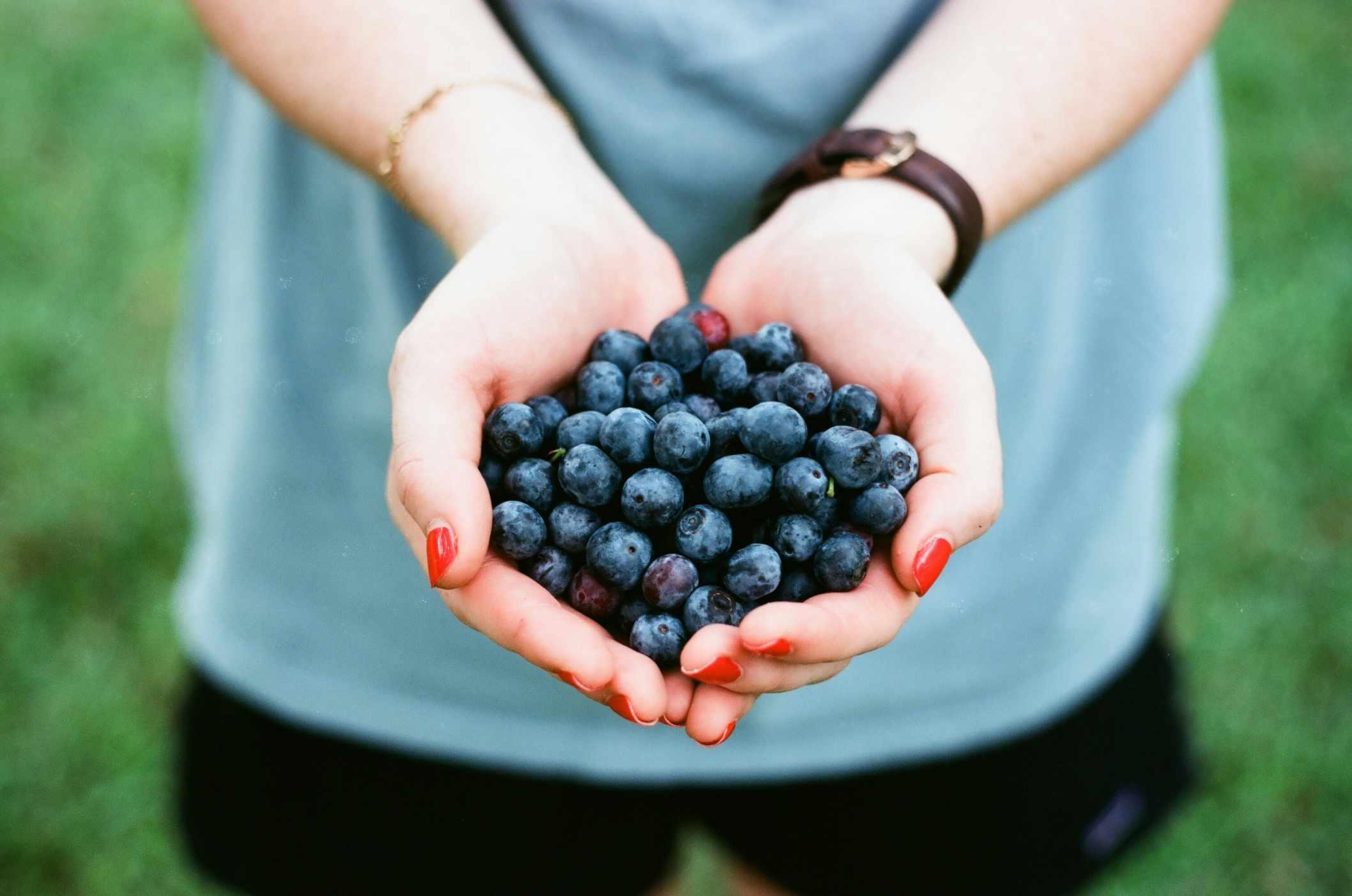 A person holds a bunch of blueberries together in their cupped hands.