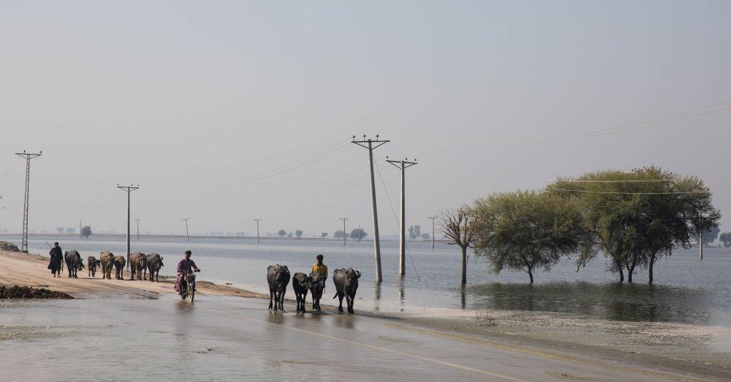 where-is-climate-change-happening
