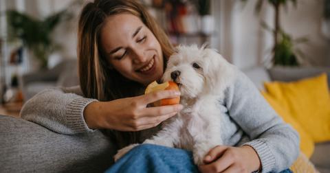 Can Dogs Have Apples? What to Know About Your Pup and Fruit