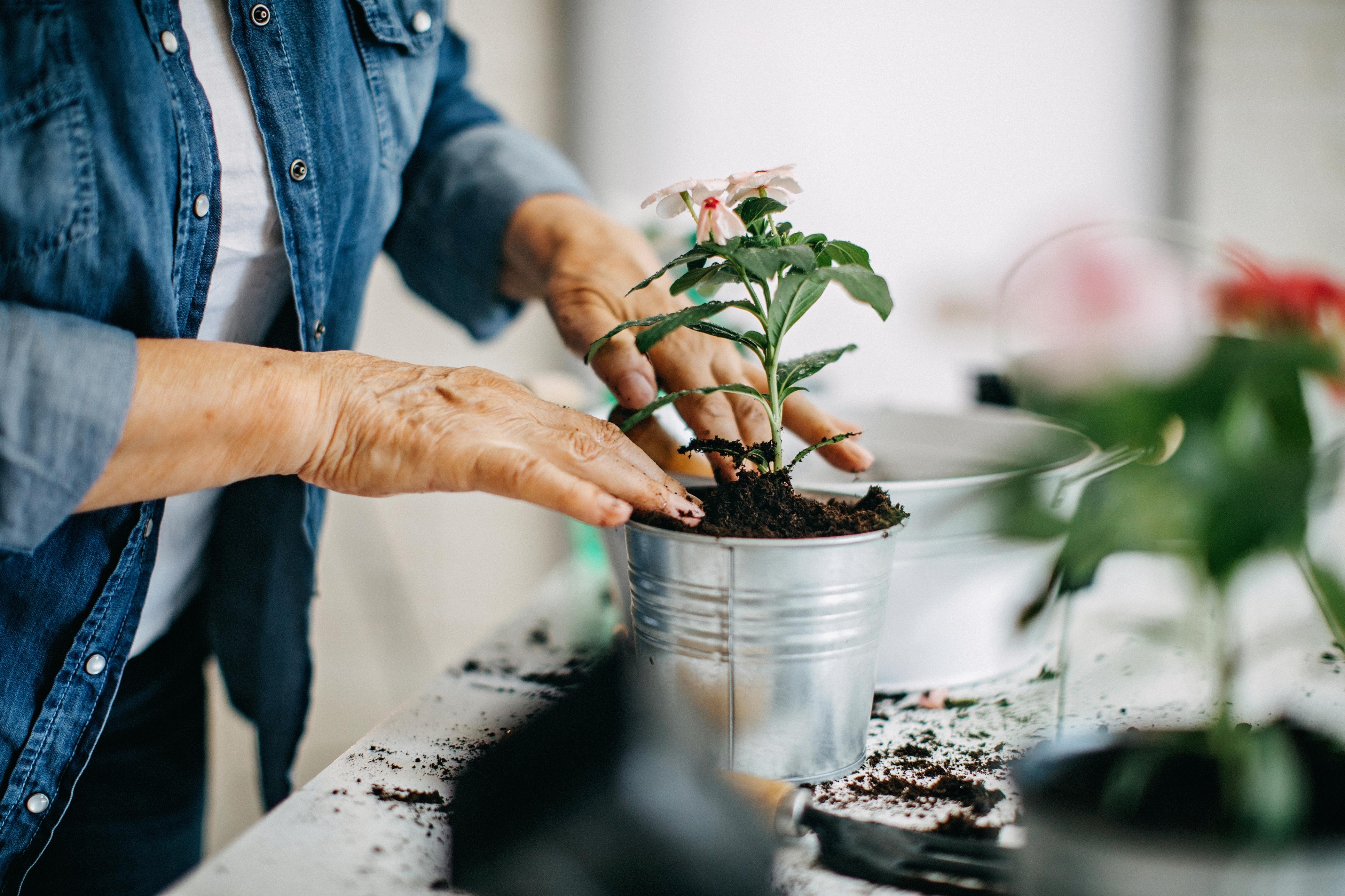 gardening