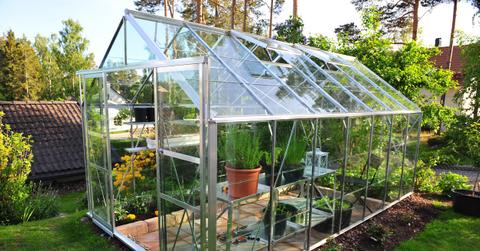 A very clearly see-through mid-size greenhouse surrounded by grass and other plants.