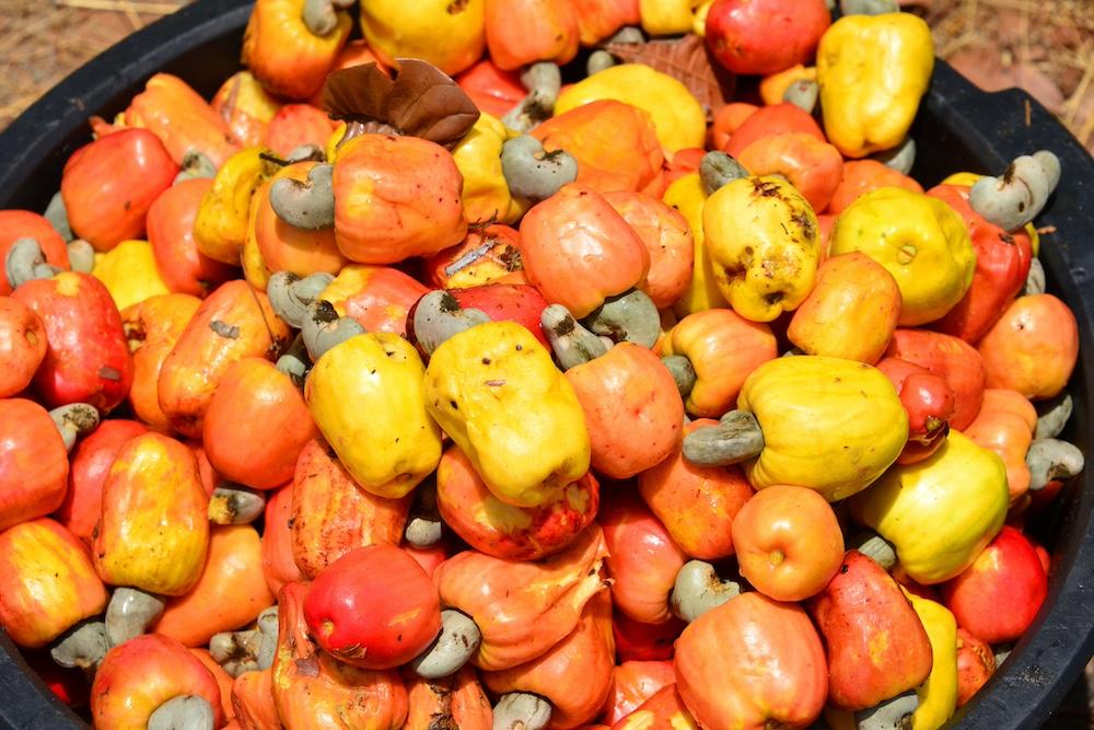 A pile of cashew apples in a bowl outside. 