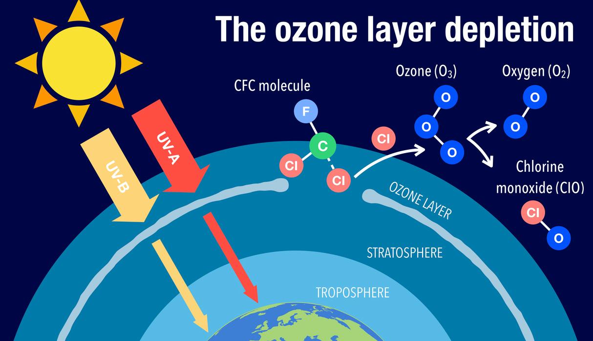 Ozone Layer Importance