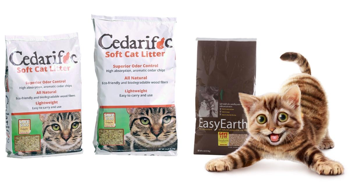 Is Kitty Litter Compostable? Check out These Biodegradable Brands