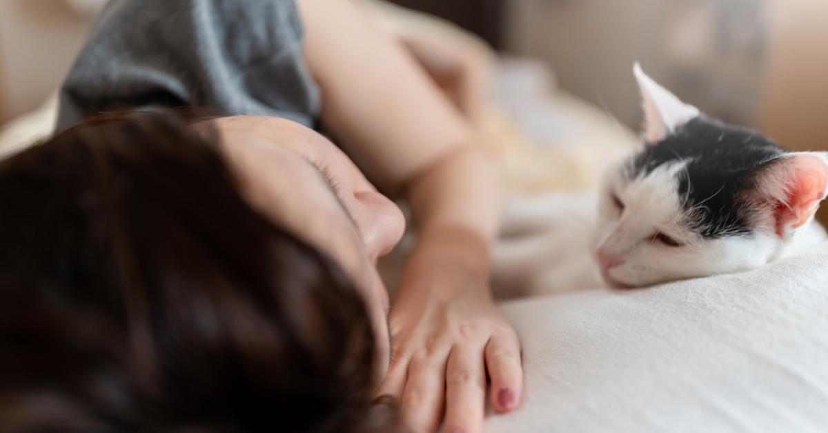A cat lays its head on a pillow next to a woman. 