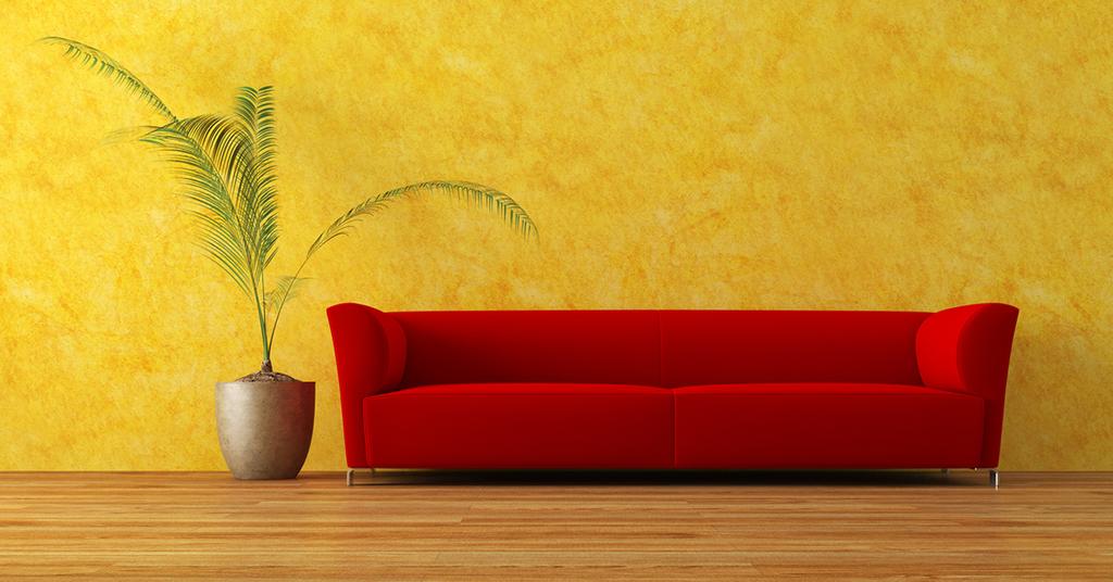 Guide to Houseplants That Purify the Air