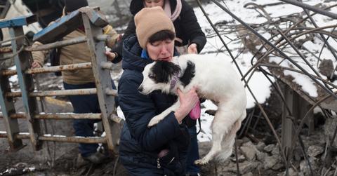 How to Help Animals in Ukraine