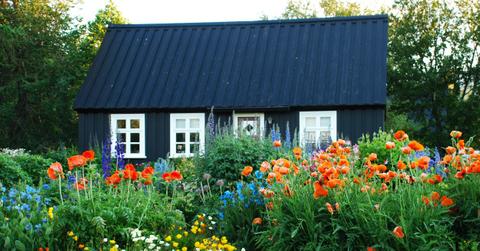 National Gardening Day