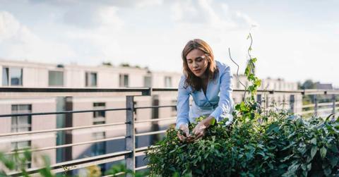 Businesswoman cultivating vegetables in her urban rooftop garden (Representative Cover Image Source: Getty Images | Westend61)
