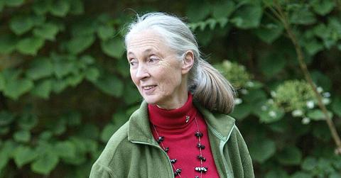 Jane Goodall Stop Animal Gifting
